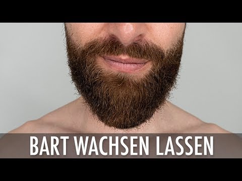 GROWING A BEARD ● 10 reasons to have a BEARD!