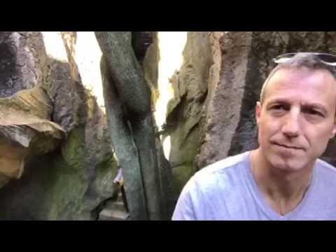 2017.02.04 | Foresta di Pietra - Yunnan