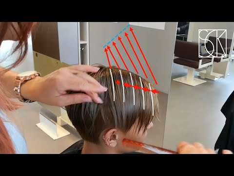Pixie Cut Back And Front