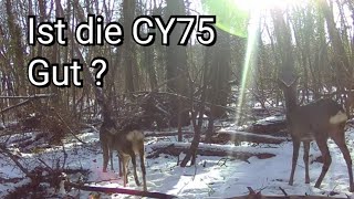 Mein vorlaeufiges Fazit zur neuen Ceyomur CY75