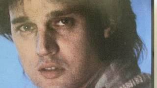 David Knopfler - The Stone Wall Garden