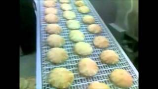 Arabic pita Lebanese bread machines & baking oven مكنات معدات الية وافران أوتوماتيك خبز عربي لبناني