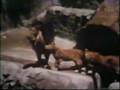 Classic Sesame Street Lions On Film