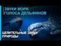 Звуки моря.Голоса дельфинов.Целительная музыка 2. (Healing music-Sounds of the Sea ...