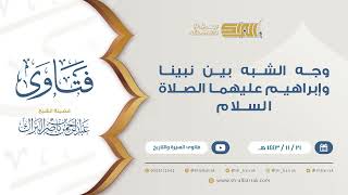 صورة فتاوى السيرة والتاريخ