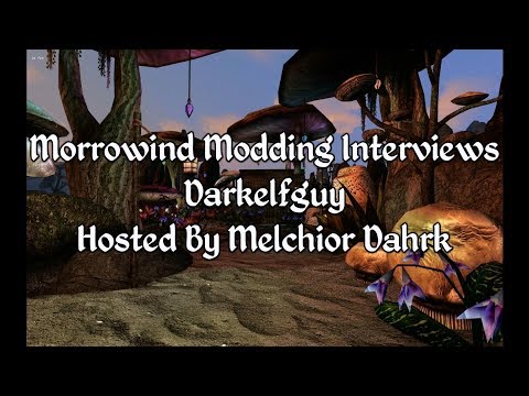 Morrowind Modding Interviews - Darkelfguy