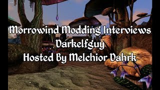 Morrowind Modding Interviews - Darkelfguy