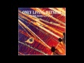 Only Living Witness - Nineveh