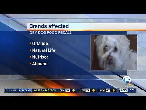 download lagu mp3 mp4 Pet Pride Dog Food Recall 2015, download lagu Pet Pride Dog Food Recall 2015 gratis, unduh video klip Pet Pride Dog Food Recall 2015