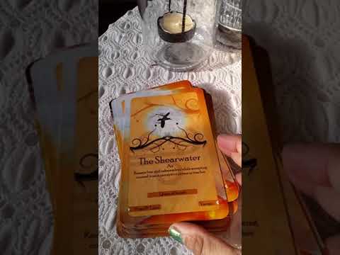 My First Deck Review, Ibiza Tarot The Oracle of Tanit