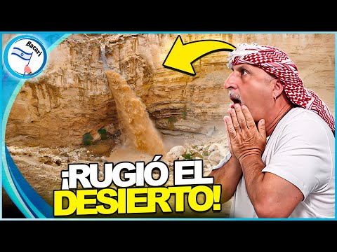 La Invasión de Agua en el Desierto de Israel ¡Es REAL!