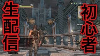 ［ドラゴンズドグマオンライン］初心者まったり生配信！質問コーナーの質問募集中！
