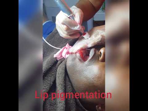 download lagu mp3 mp4 Pink Feather Bangalore, download lagu Pink Feather Bangalore gratis, unduh video klip Pink Feather Bangalore