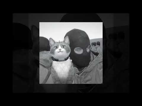 ☆ SHERIFFLADROGUE | REMIX X LA DROGUE X SHERIFFLAZONE X SNOW STRIPPERS (slowed) ☆