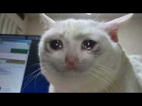 Steam Community :: Video :: highfleet sad moment (very emotional)