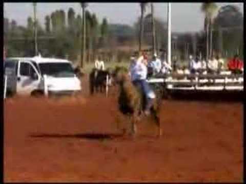 Victory Fly 17s500 Campeao Nacional 2007