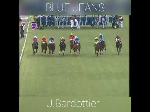 Blue Jeans (J.Bardottier) 3rd Win 2017 - 29 April 2017