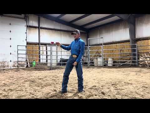 Cody Custer - Optimal Position in Bull Riding