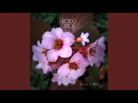 Unstability (Original Mix)