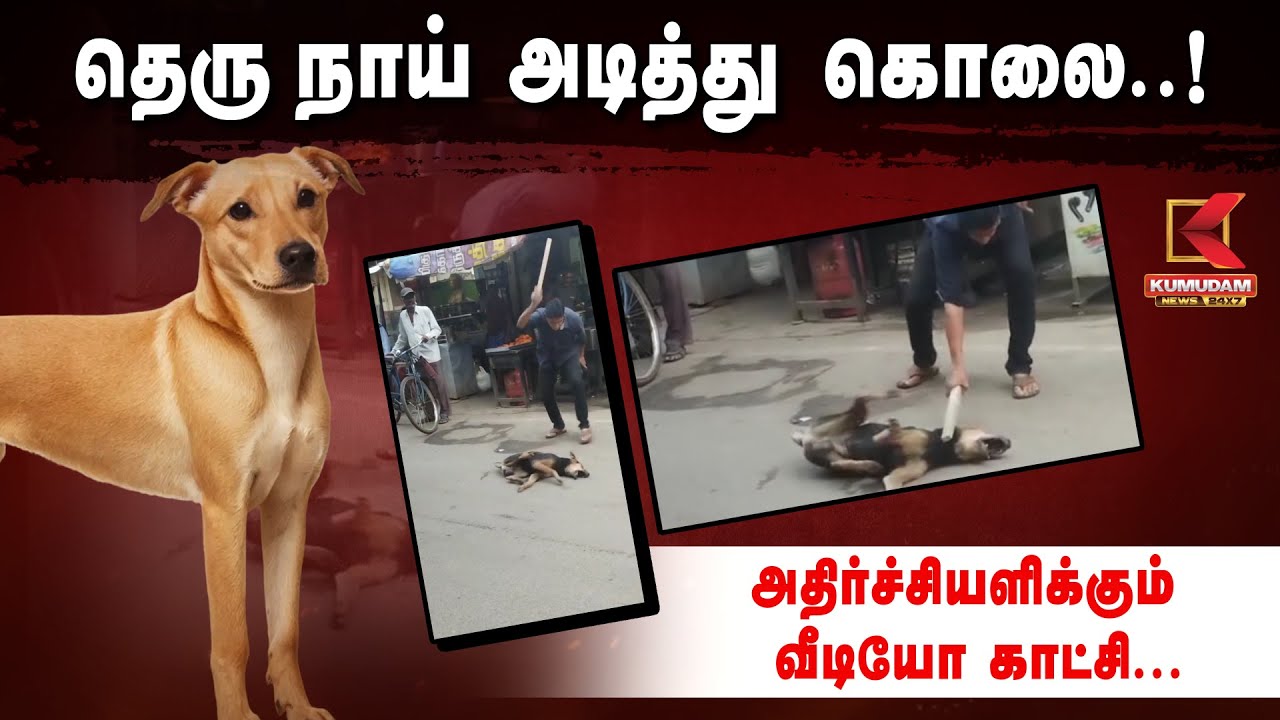 தெரு நாய் அடித்து கொ*லை..! அதிர்ச்சியளிக்கும் வீடியோ காட்சி.. | PETA | Viral Video | Dog Lovers