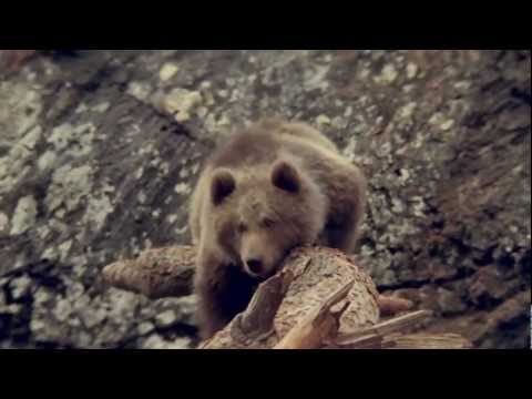 DROP THE BASS w/STEREOLIEZ || 10.11.12 || Area Enel ( Verona )