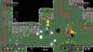 Wizard of Legend