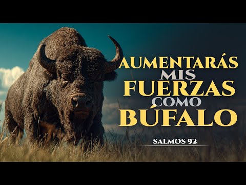 El Canto Para Restaurar las Fuerzas | SALMO 92 | Dios te levantará #musicacristiana