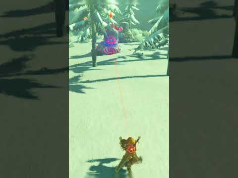 I Killed The Guardian Using Only A SHIELD #zelda #botw