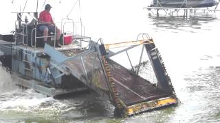 preview picture of video 'Weed Harvester in St. Albans Bay August 2013'