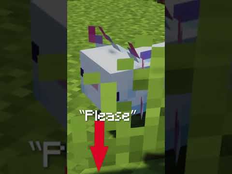 How To Get ANY Cape In Minecraft without mods!