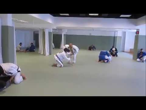 Alliance Rio de Janeiro by Train In Brazil Group