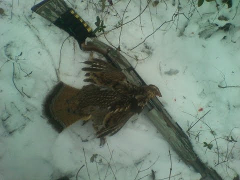 VA Grouse Hunting Trip - January 2015