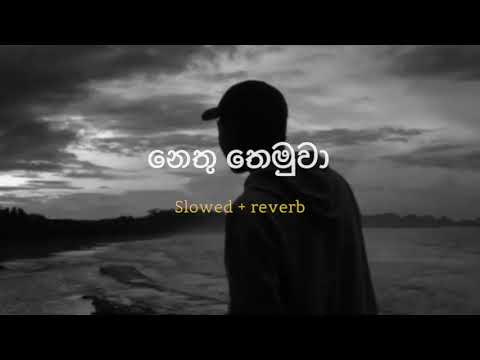 Nethu themuwa | නෙතු තෙමුවා ( Slowed + Reverb )