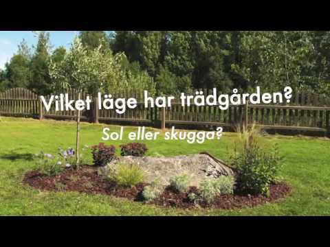 Planera din trädgård