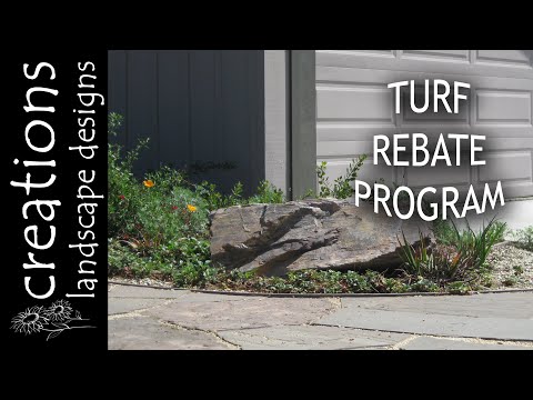 Why Turf Rebate Program
