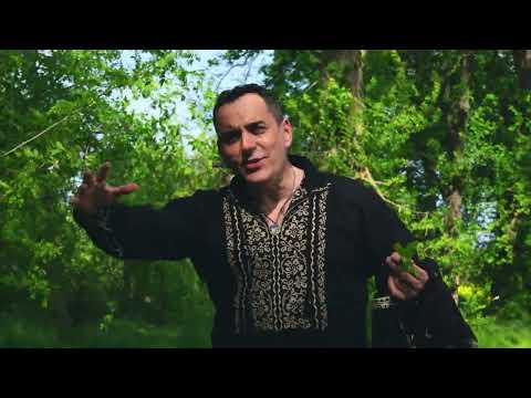 CORNEL OPREA - Azi sunt bine si sunt fericit ( Official Video )