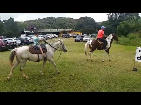Passeio de Cavalos no Rio Abaixo