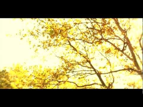 Roberto Mesa  - Mirrors (Official Video) Directed By Sylvio Sandino