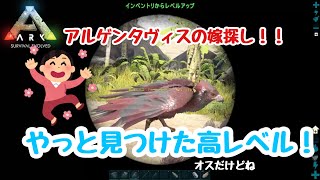 【社会人設定Ark】サバイバル9日目 高レベル探すのって大変.....