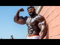 Bicep Workout🏋 // Kali Muscle