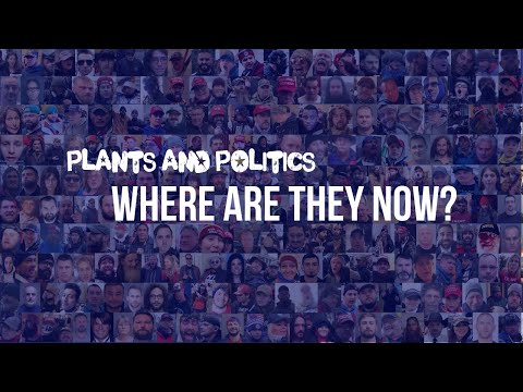 US Capitol Arrests Update: Sorvisto SENTENCED