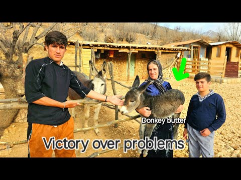 Big Surprise for Viewers, a New Gift for the Family!