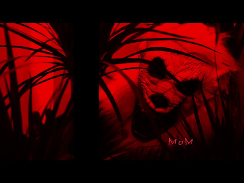 Video thumbnail for Month of Mayhem