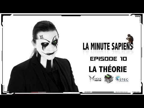 La Minute Sapiens - Ep 10 - La Théorie