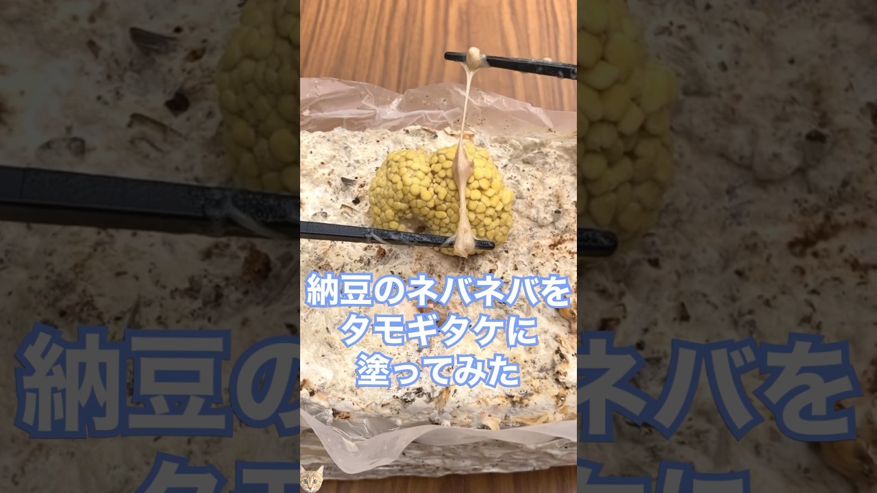 【実験】キノコに納豆のネバネバを塗ったら…🍄‍🟫 #shorts #実験