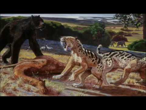 Ice Age Bay Area - KQED QUEST