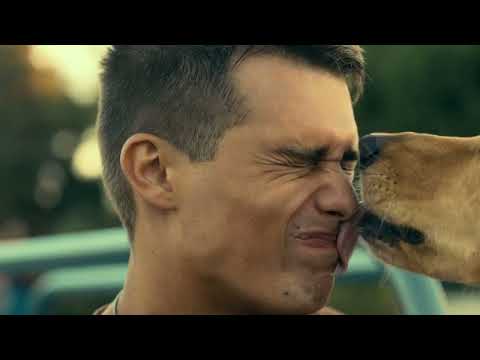 Cassie gets Luke a Puppy (Peaches) PURPLE HEARTS