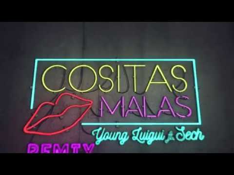 Cositas Malas YoungLuigui ft Sech Remix
