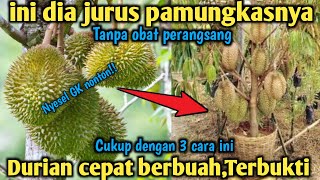 Download lagu The 3 most telling moves !! How to make durian fruit quickly! It can even bear fruit at any time mp3 Download lagu The 3 most telling moves !! How to make durian fruit quickly! It can even bear fruit at any time mp3