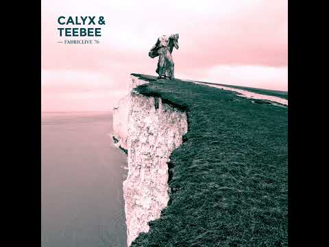Fabriclive 76 - Calyx & TeeBee (2014) HD
